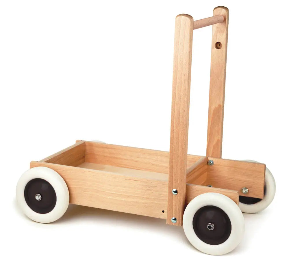 Truck Push Toy