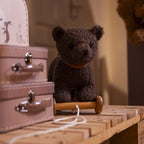 Raoul Pull Toy