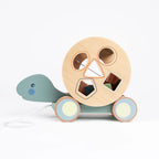 Turtle Pull Toy