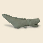 Croc Crocodile