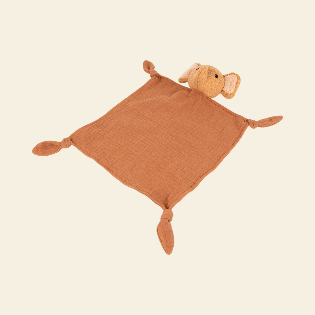 Ollie Doudou