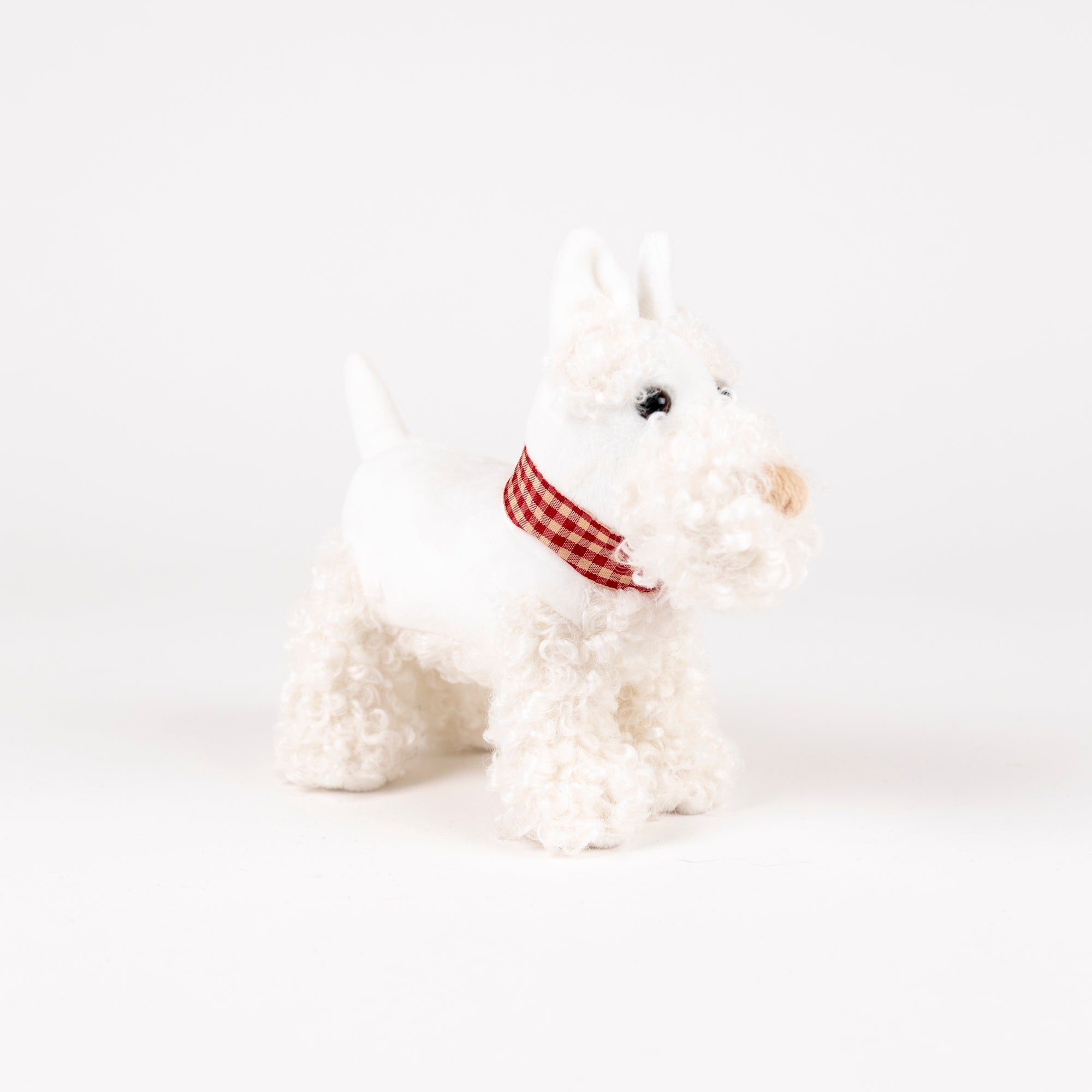 Lola Small