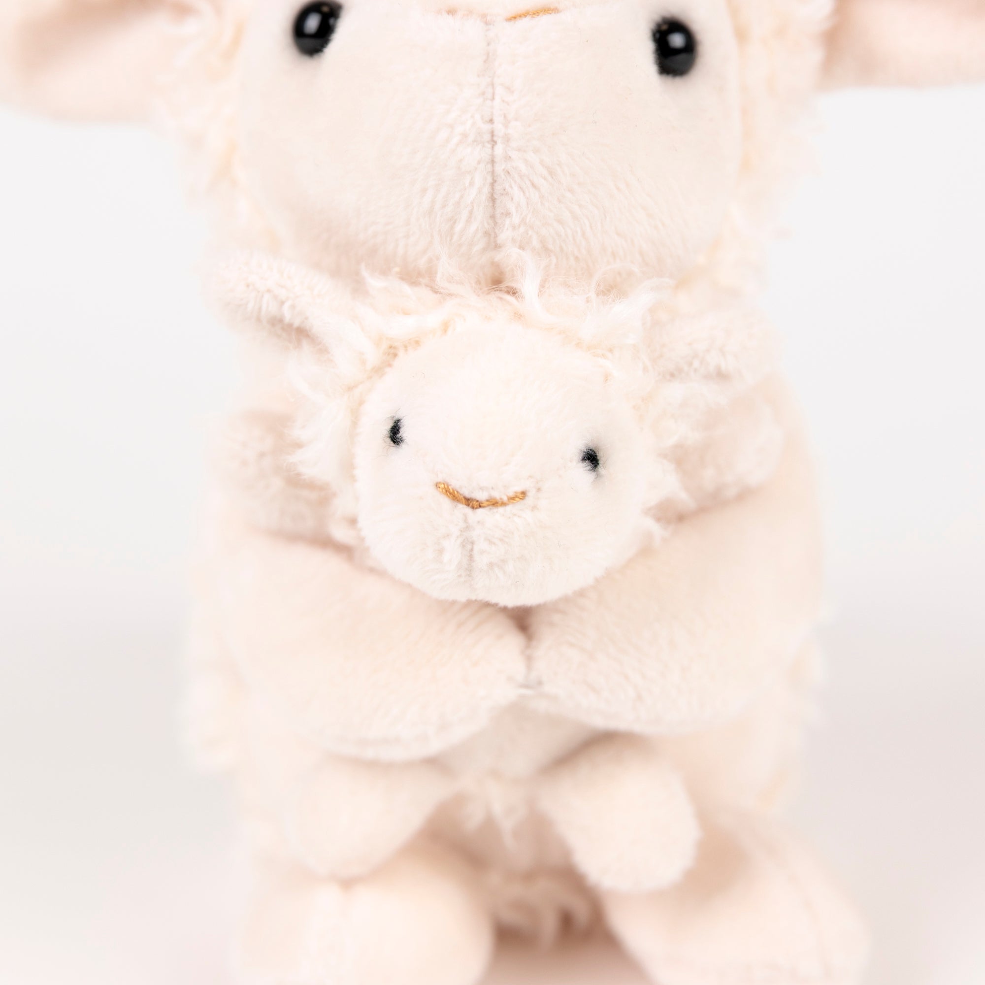 Lamb Baby