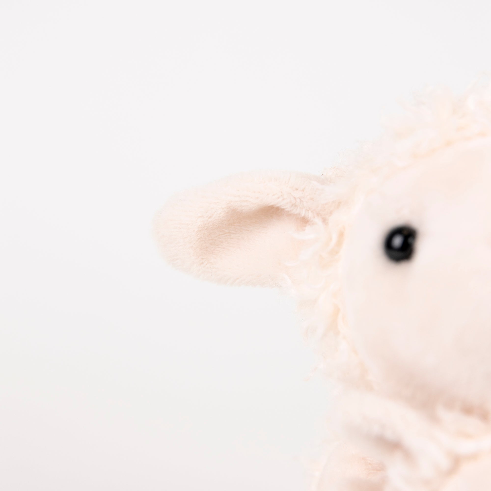 Lamb Baby