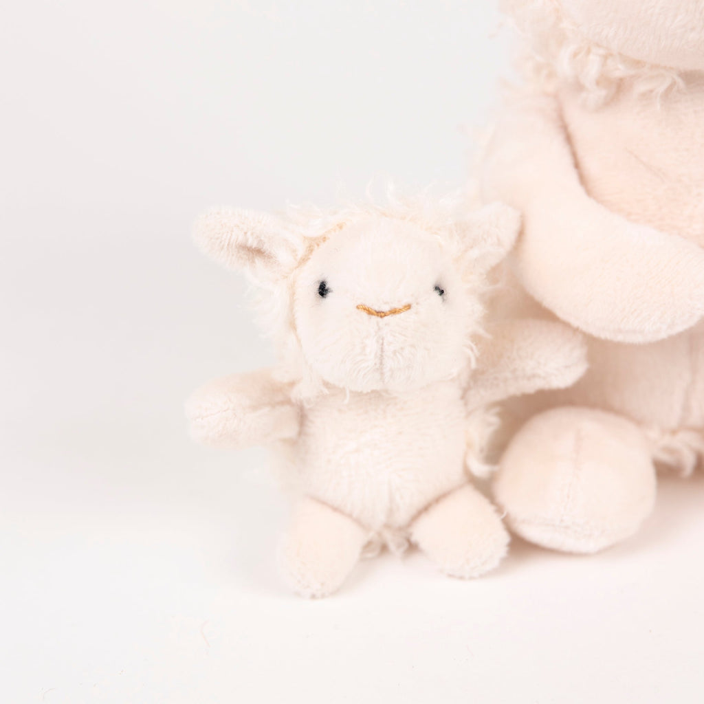 Lamb Baby