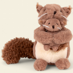 Squirrel Baby