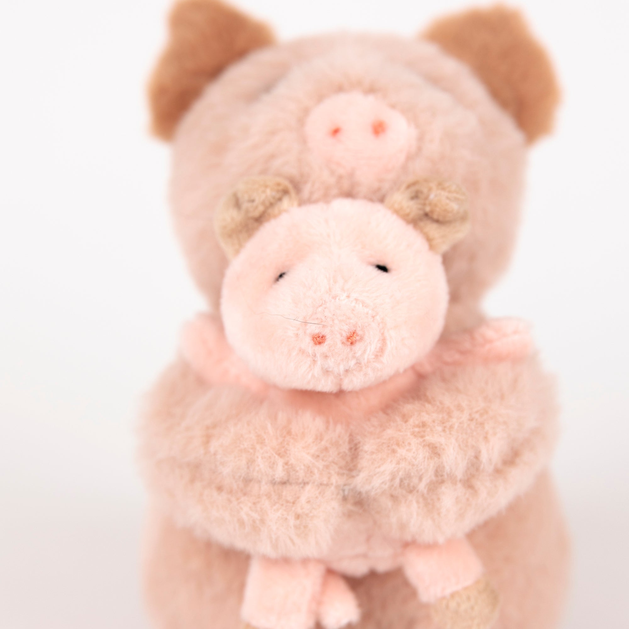 Pig Baby