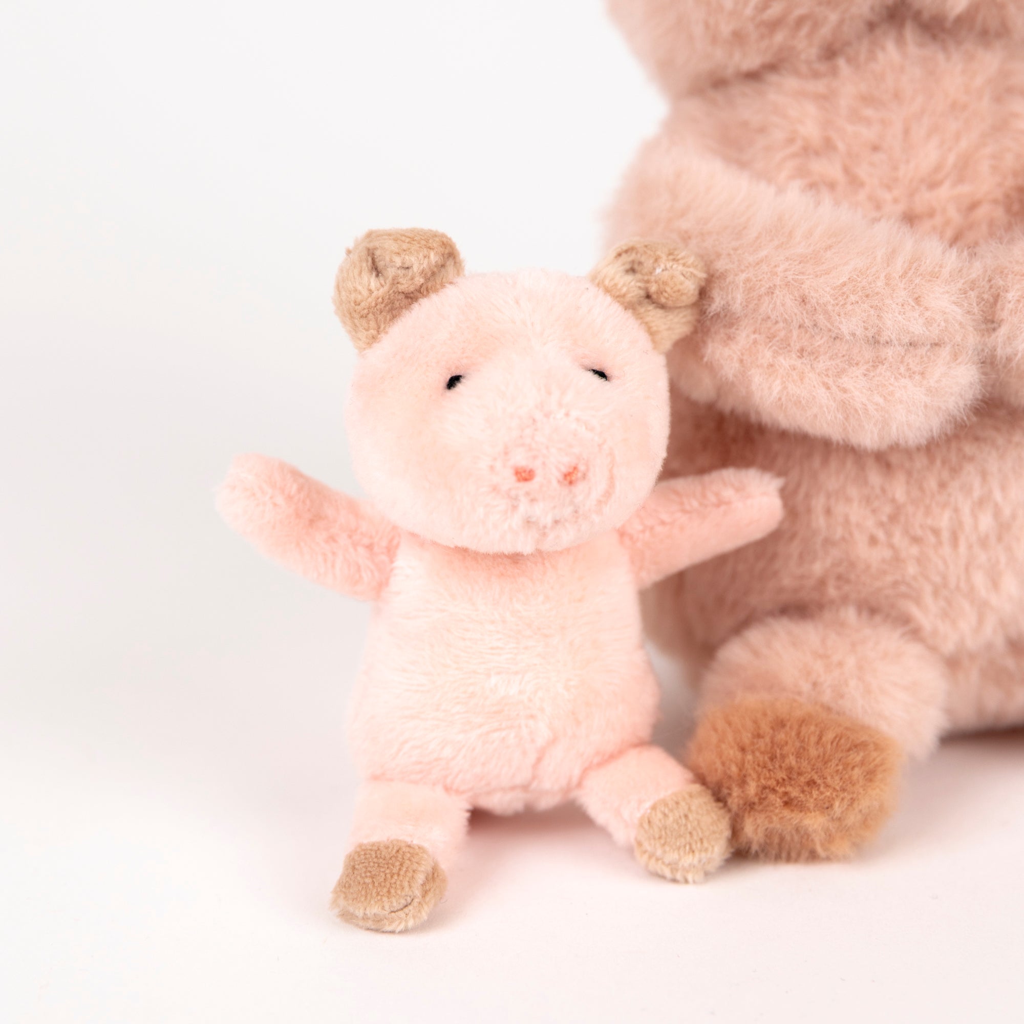 Pig Baby