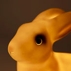 Rabbit Lamp