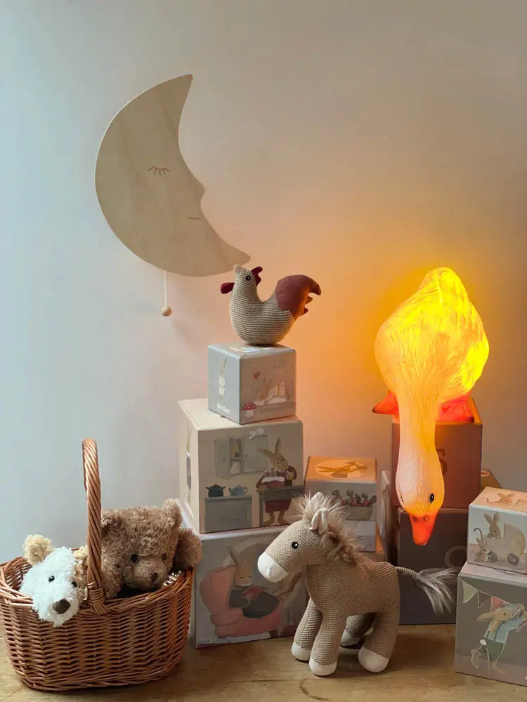 Duck Lamp