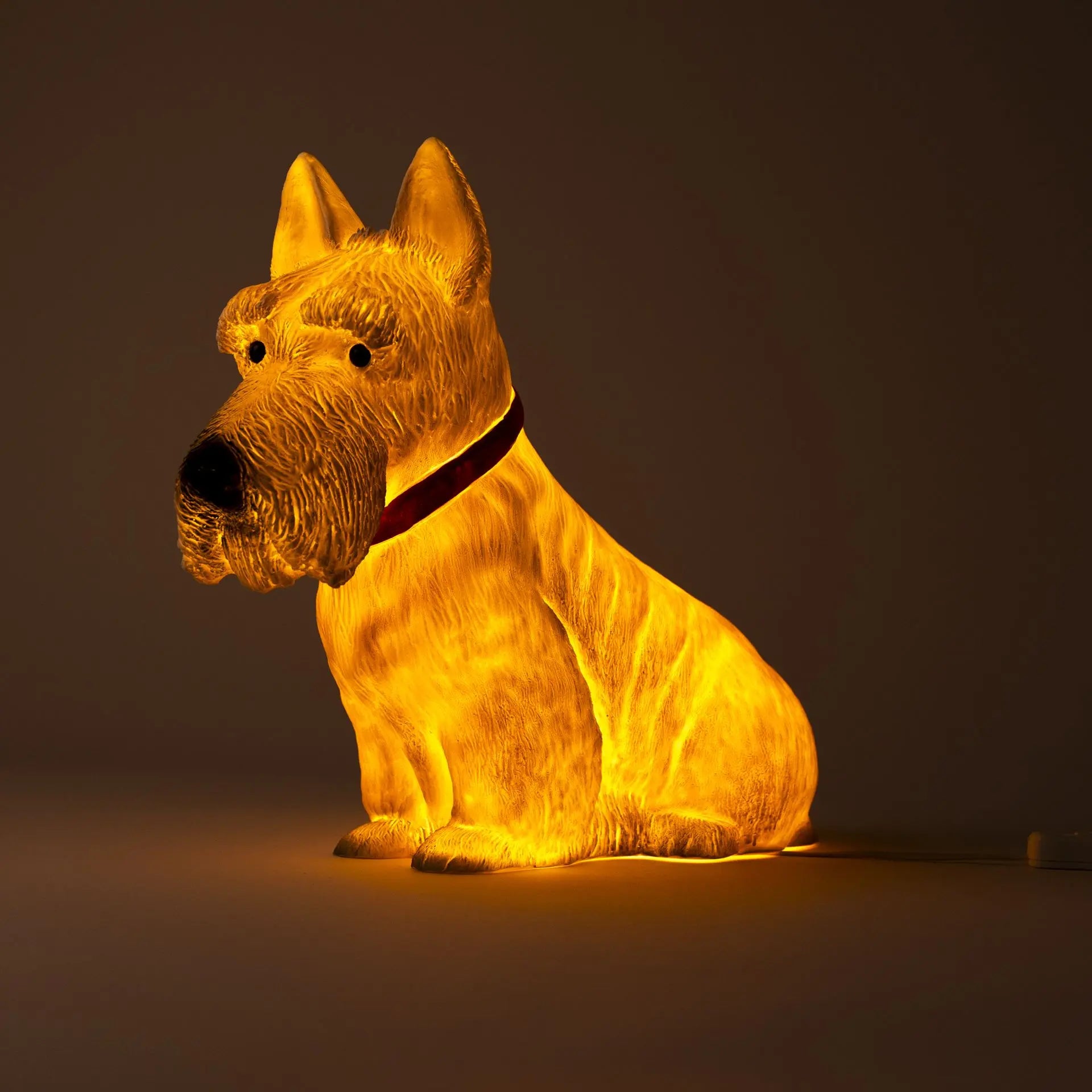 Scotty Lamp