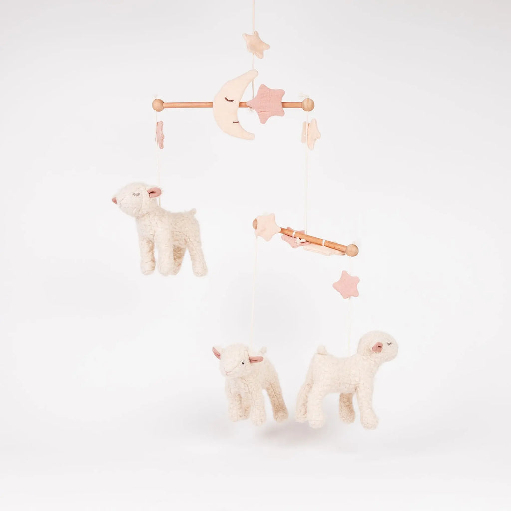 Mary Cot Mobile