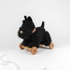 Walter Pull Toy