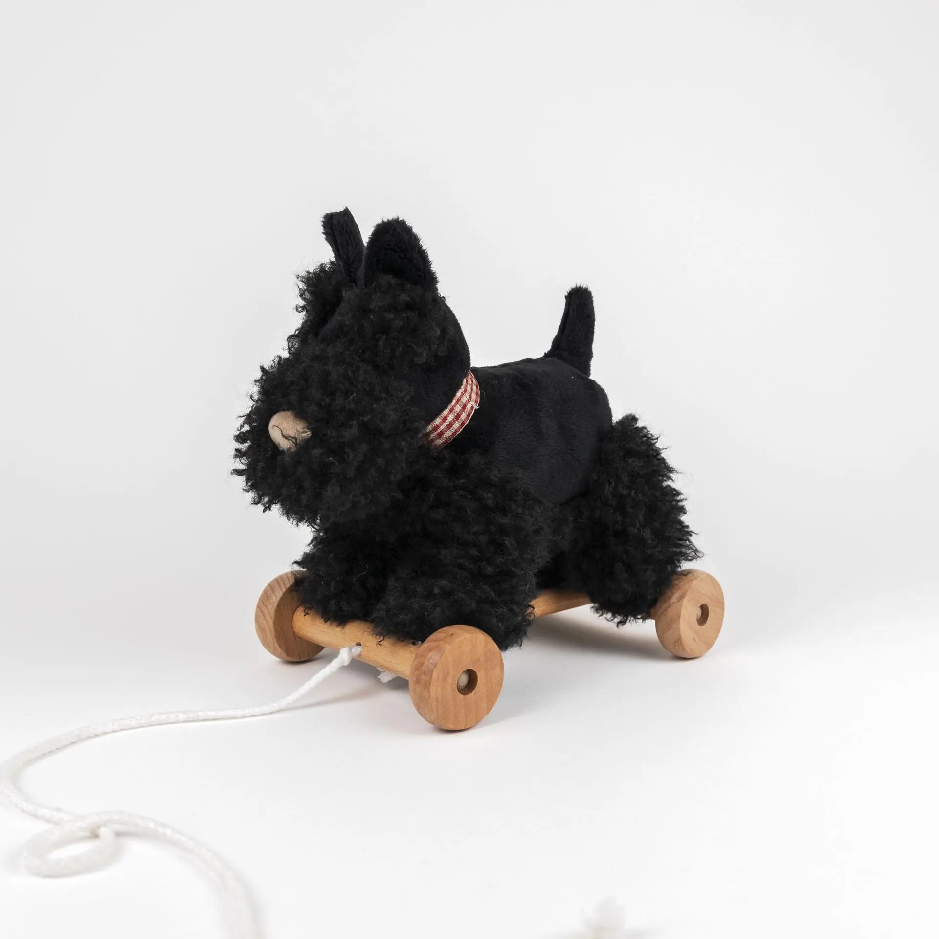 Walter Pull Toy