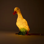 Duck Lamp