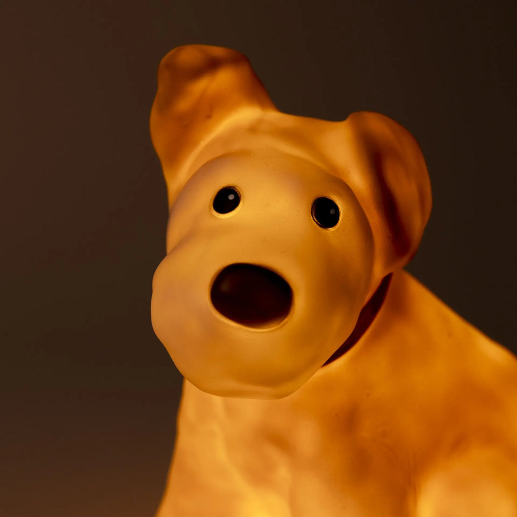 Eliot Bear Lamp