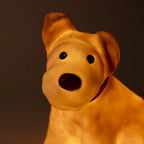 Eliot Bear Lamp