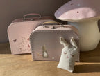 Rabbit Crochet Kit
