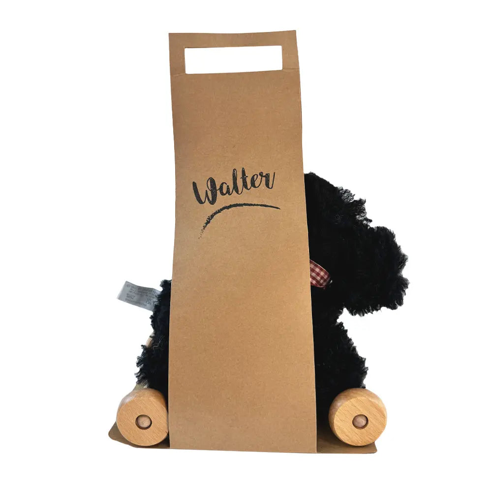 Walter Pull Toy