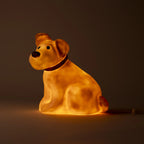 Eliot Bear Lamp