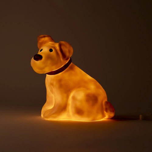 Eliot Bear Lamp