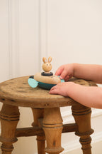 Rabbit Bath Toy