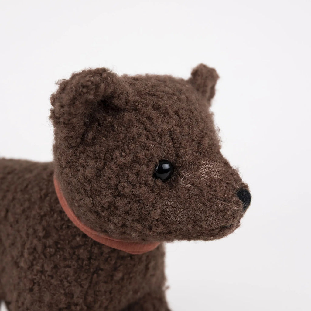 Raoul Pull Toy