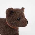 Raoul Pull Toy