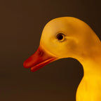 Duck Lamp