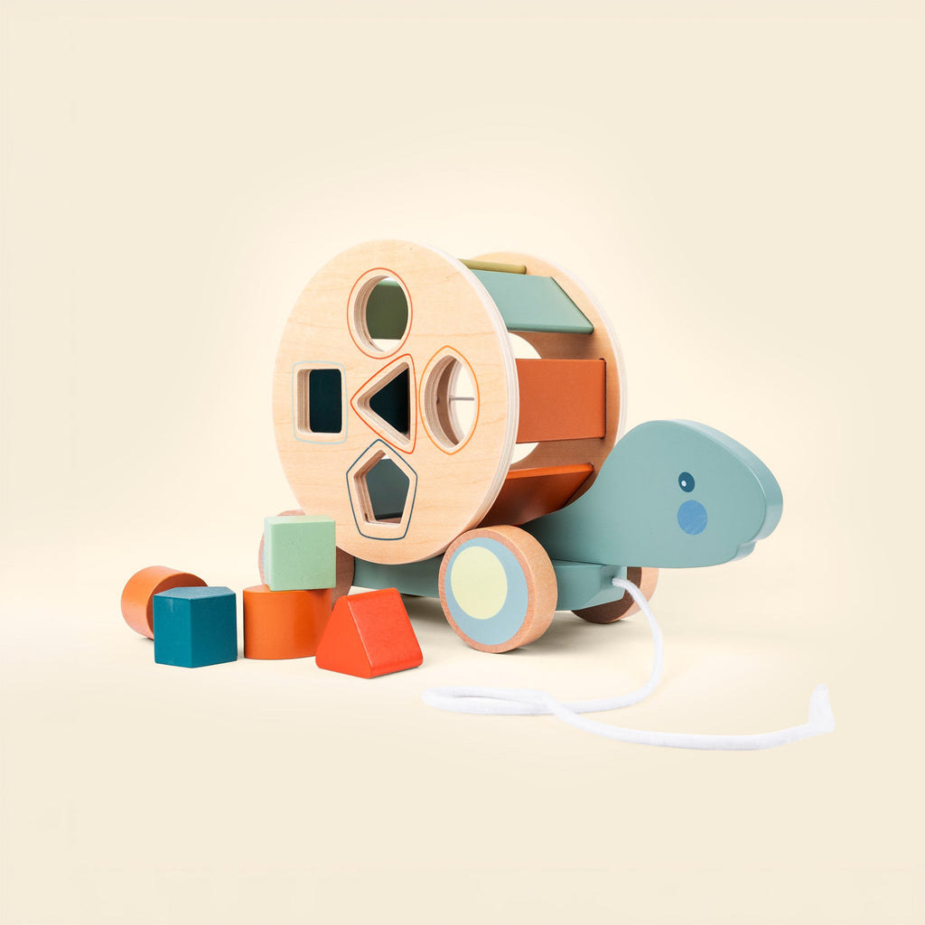 Turtle Pull Toy