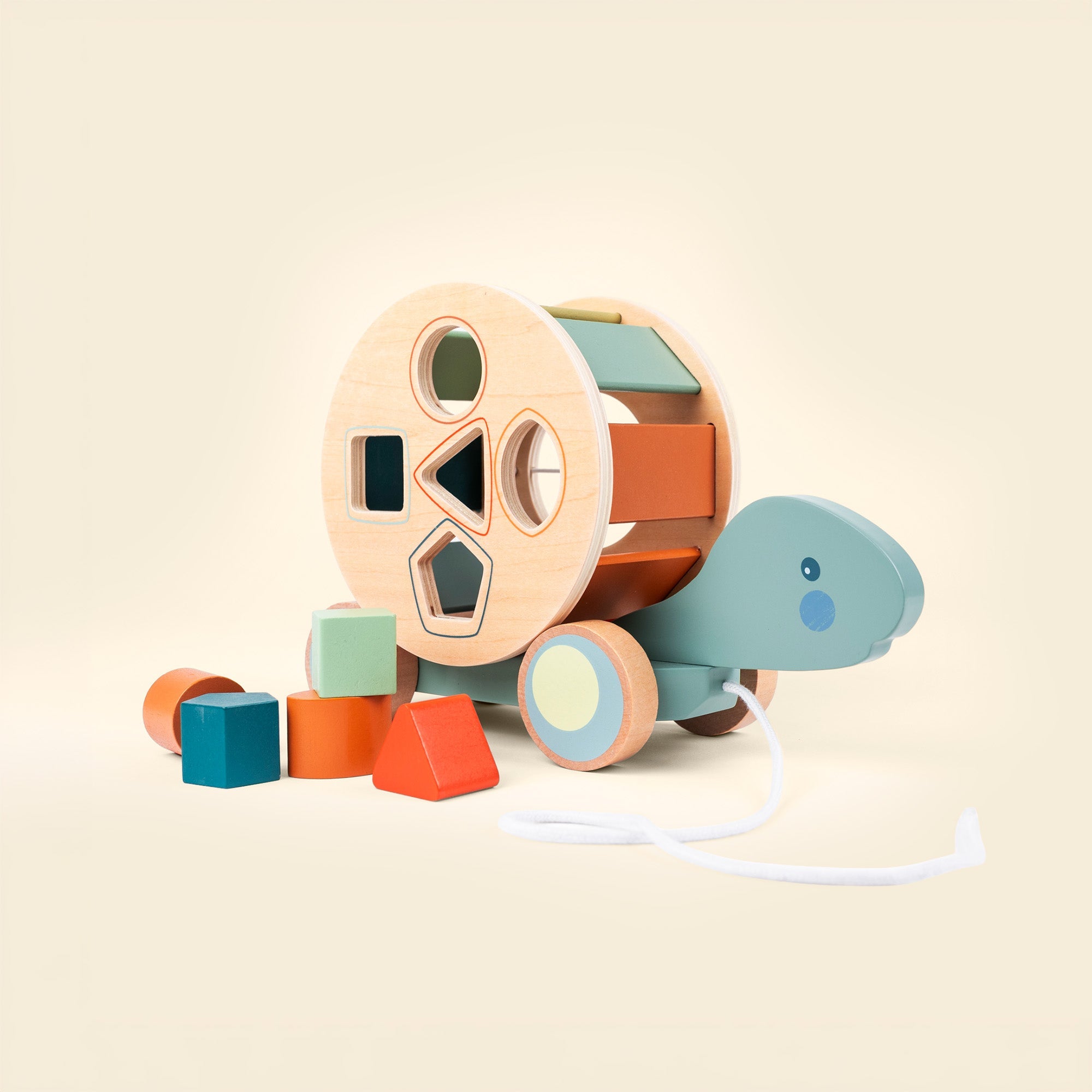 Turtle Pull Toy