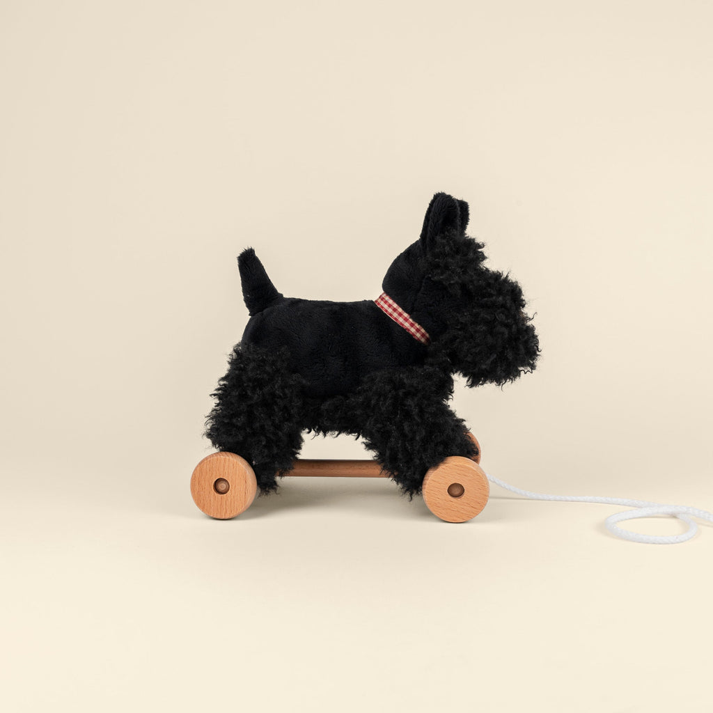 Walter Pull Toy
