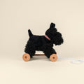 Walter Pull Toy