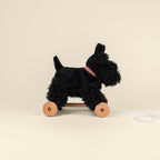 Walter Pull Toy