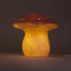 Large Pink Lamp