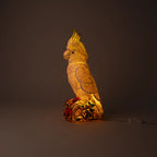 Cockatoo Lamp