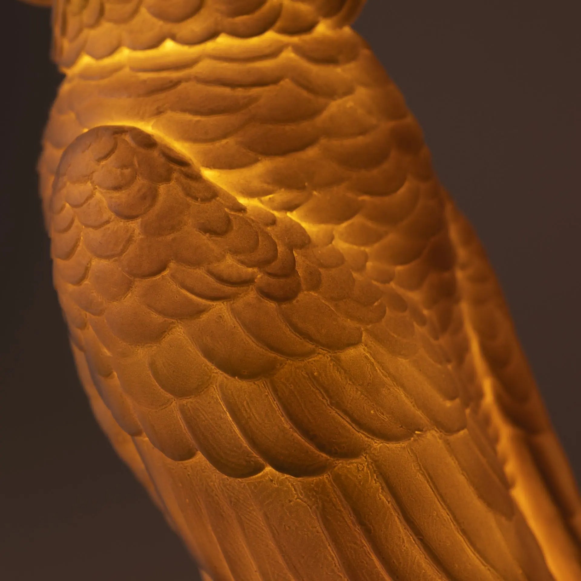 Cockatoo Lamp