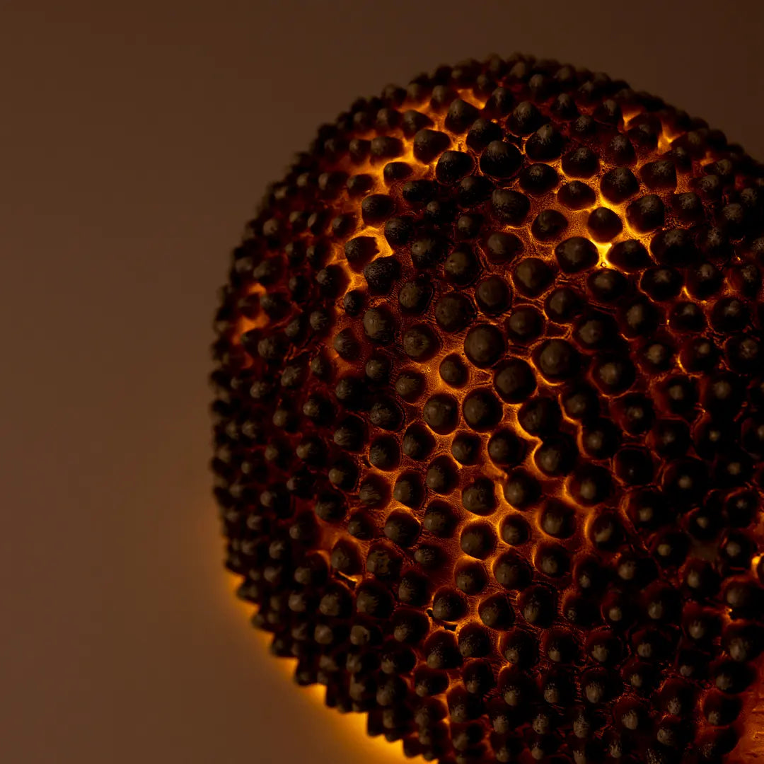 Hedgehog Lamp