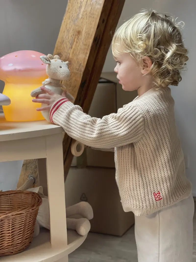 Leonie Musical Plush