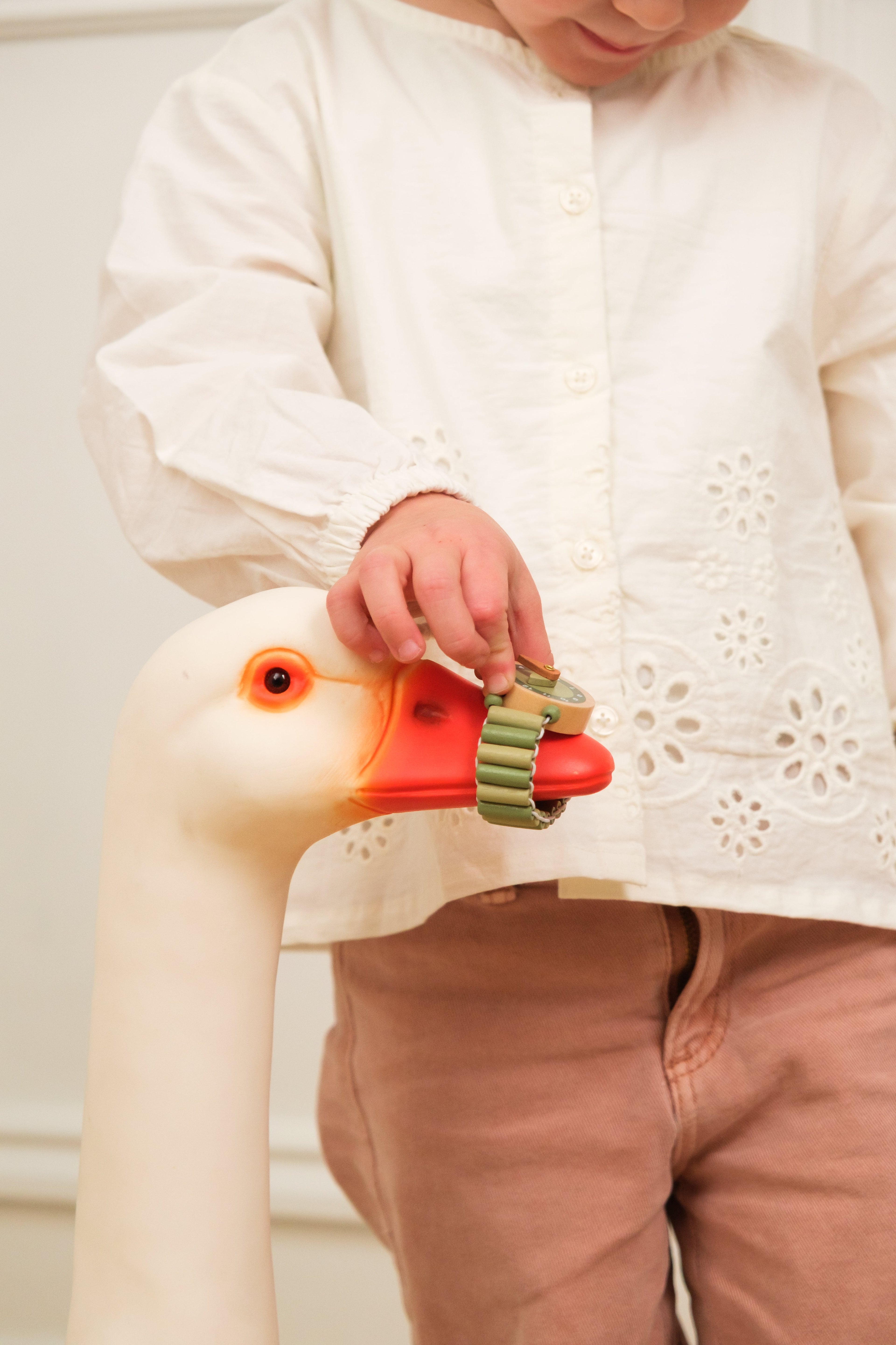 Raph Pretend Kit