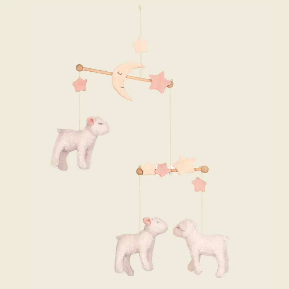 Mary Cot Mobile