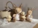 Jute Rope Basket