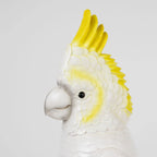 Cockatoo Lamp