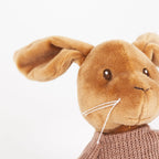 Lenny Musical Plush