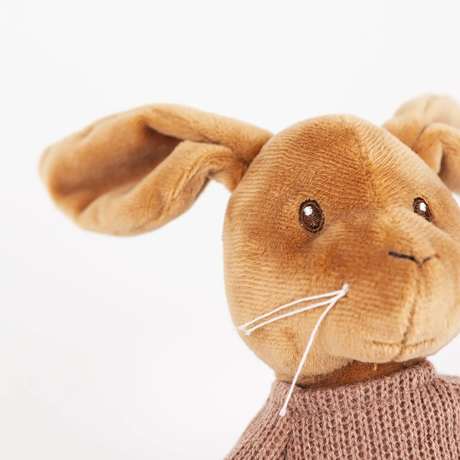 Lenny Musical Plush