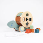 Turtle Pull Toy