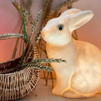 Rabbit Lamp