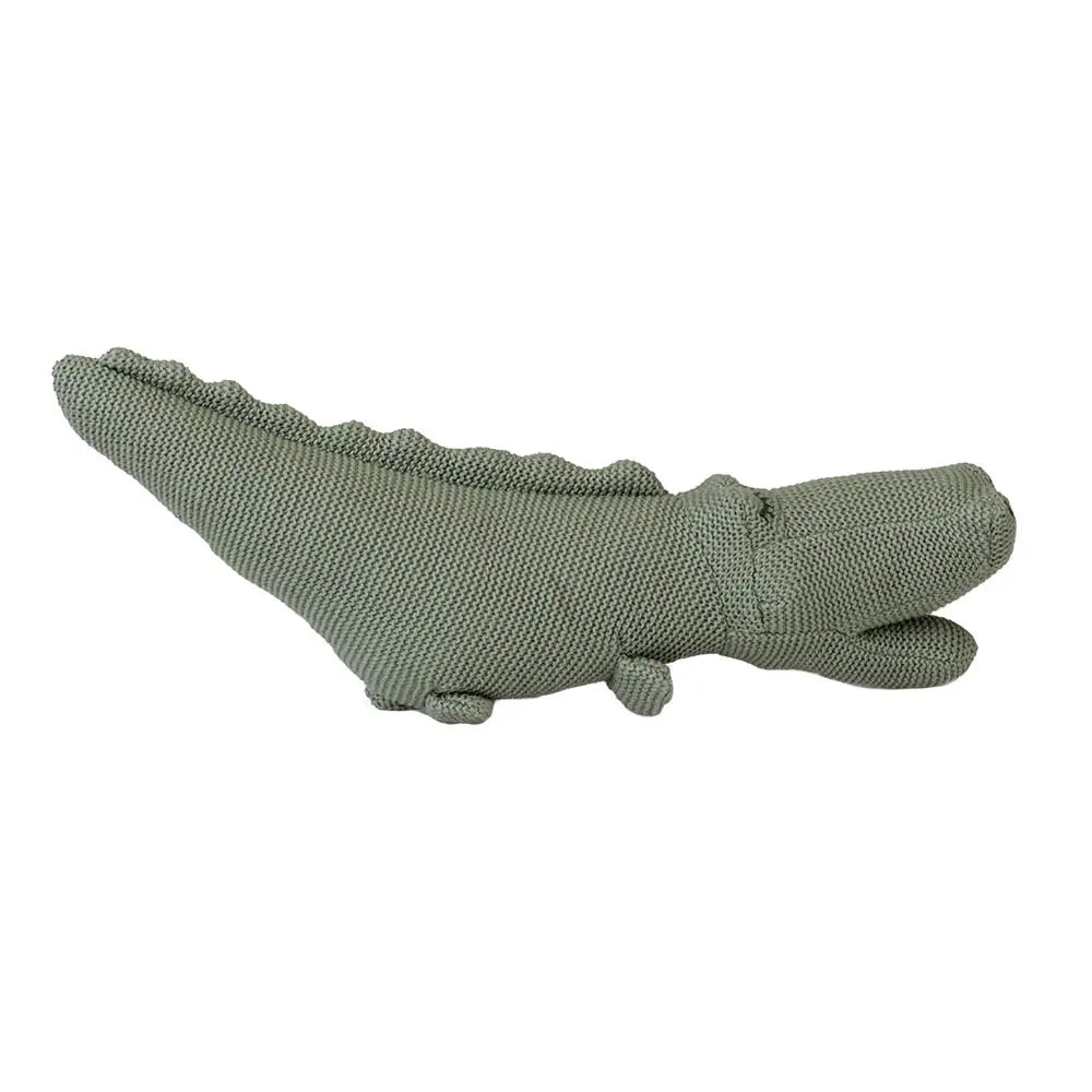 Croc Crocodile