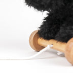 Walter Pull Toy