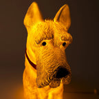 Scotty Lamp